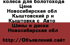 колеса для болотохода › Цена ­ 30 000 - Новосибирская обл., Кыштовский р-н, Кыштовка с. Авто » Шины и диски   . Новосибирская обл.